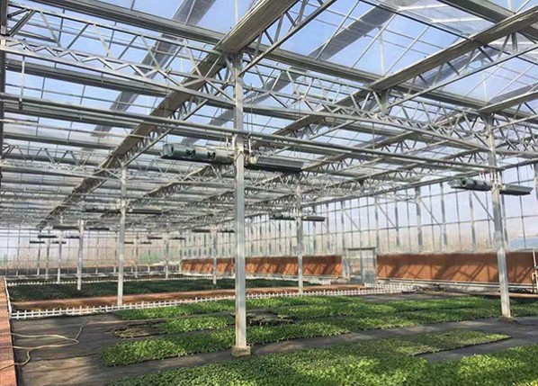 智能文絡溫室內部